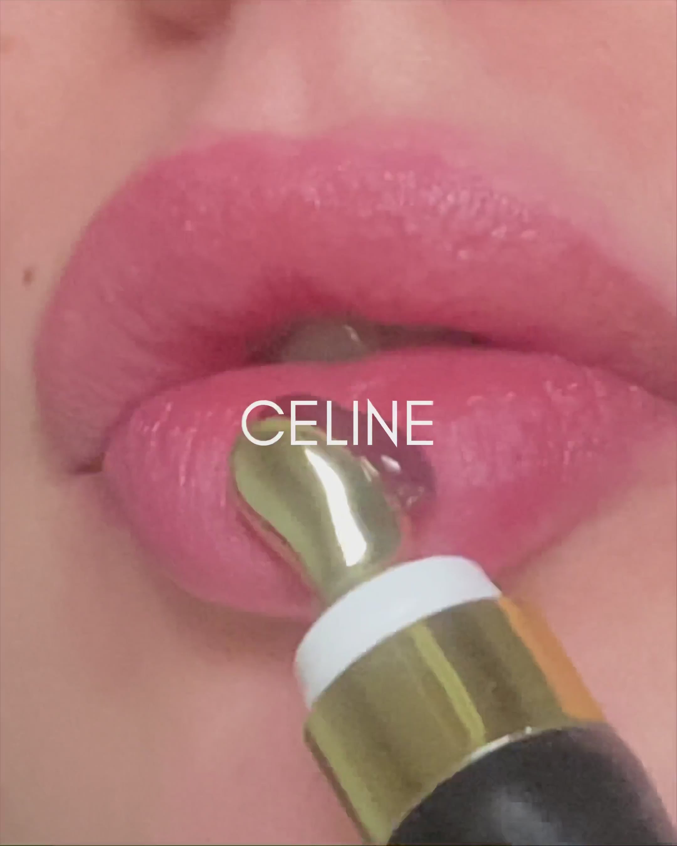 THE PLUMPING GLOSS