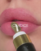 THE PLUMPING GLOSS