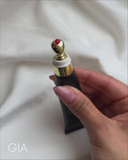 THE PLUMPING GLOSS